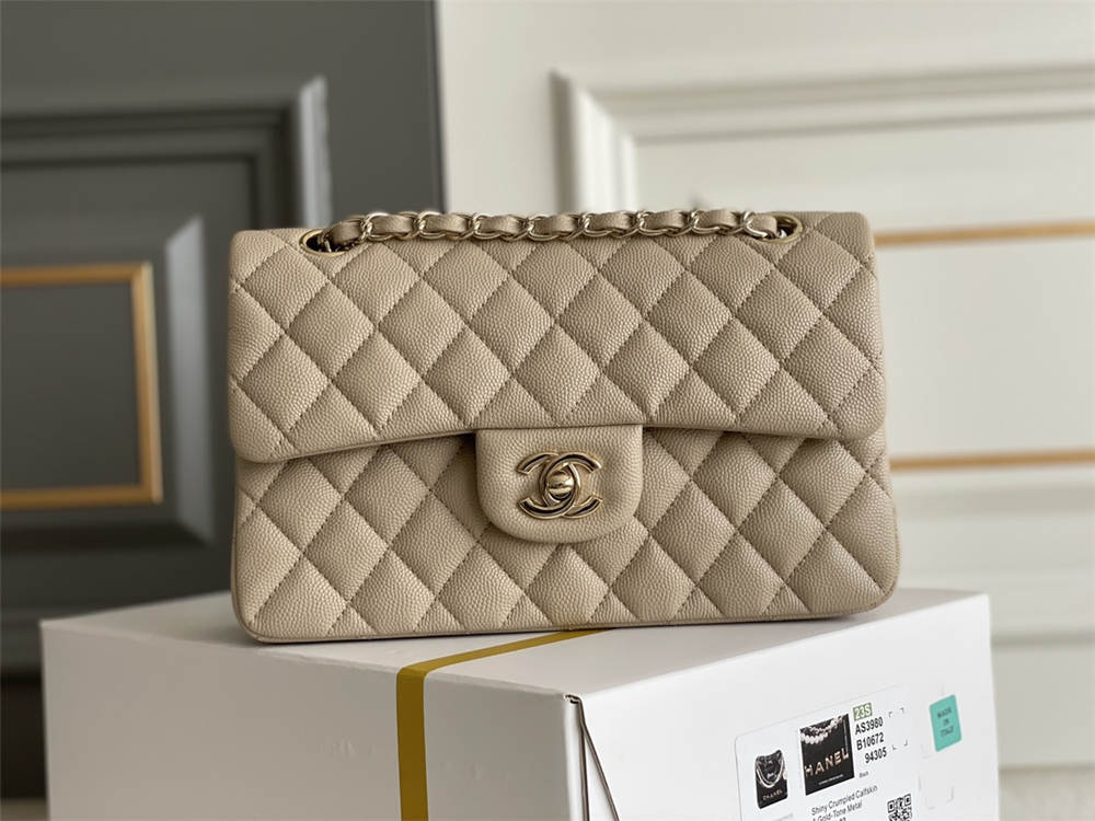 Chanel classic flap 23cm 2025 new 